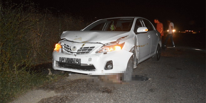 Bursa’da otomobil sürünün arasına daldı