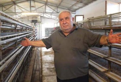 Ruslar bıldırcın almayınca iflas etti, mektupla umutlandı