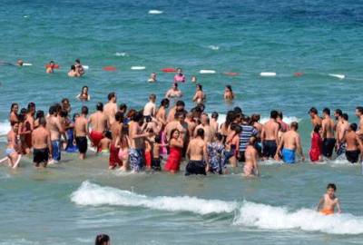 Sahilde yavru yunus seferberliği