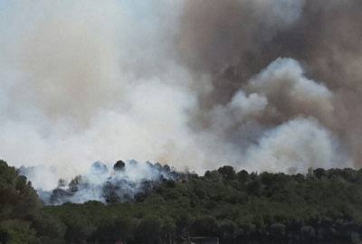 Gelibolu Yarımadası’nda orman yangını