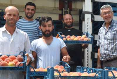 İnegöllü üretici fiyattan memnun değil