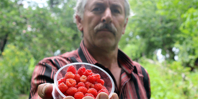 Bursa’da ahududu yüz güldürdü