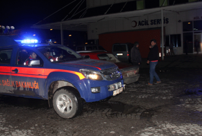 Ayılar aileye saldırdı: 2 ölü, 2 yaralı