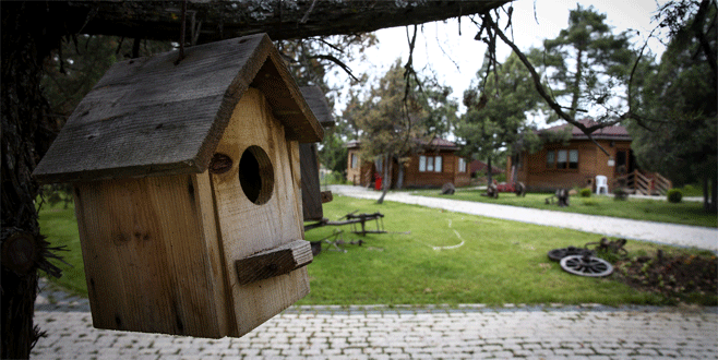 Dağ ilçesinin kaderi ‘eko turizm’le değişti