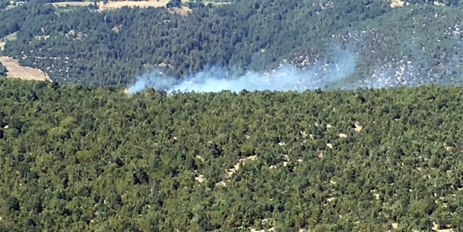 Bursa’da orman yangını Bursa’da orman yangını