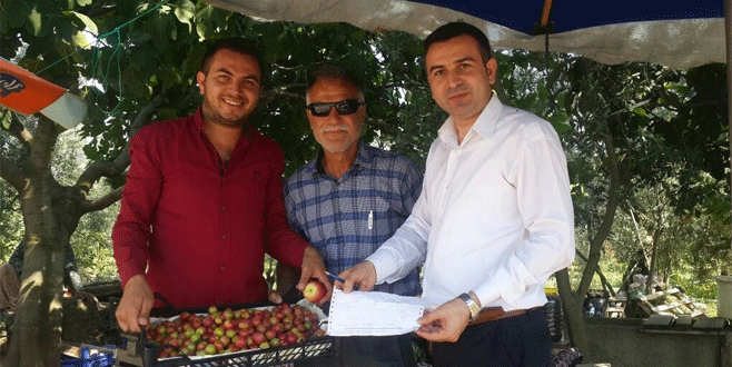 Aldığı meyvelerin parasını ağaca asmıştı, yine de gönlü rahat etmedi