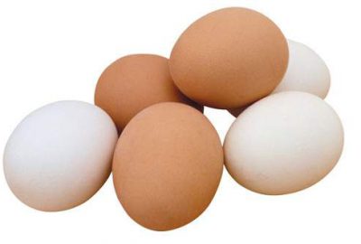 Tavuk yumurtası üretimi Mayıs ayında azaldı