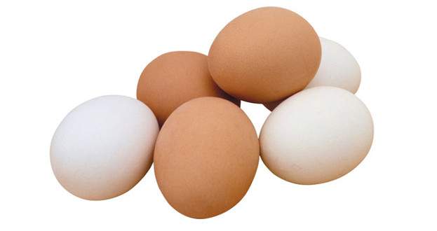 Tavuk yumurtası üretimi Mayıs ayında azaldı