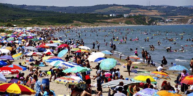 Bursa sahillerinden güzel haber