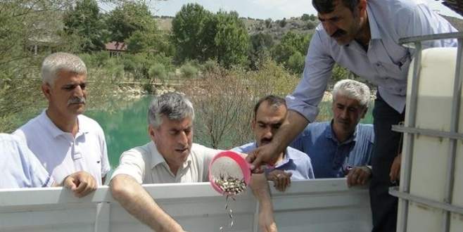 Göletlere 90 bin yavru balık bırakıldı