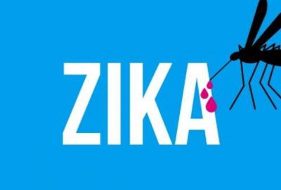 Brezilya’da yapılan bir araştırma, kısa sürede salgına dönüşen Zika virüsünün