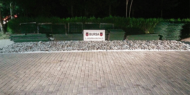 İstanbul ve İzmir’de satacakları uyuşturucuyla Bursa’da yakalandılar