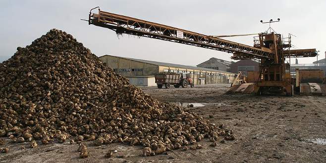 ‘Türkiye’de herhangi̇ bi̇r şeker sıkıntısı yaşanmayacak’
