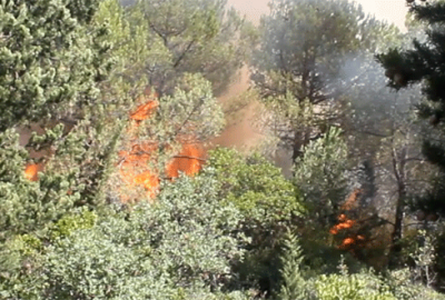 Bursa’da orman yangını