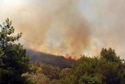 Bodrum’da ormanlık alanda yangın!