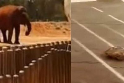 Şaka gibi olay: Üzücü bir ölüm!