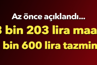 Darbe şehidi yakınına verilecek maaş belli oldu