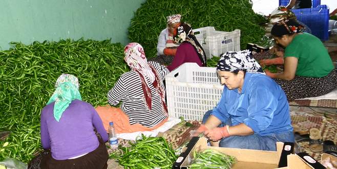 İhracatçı sezonu açtı