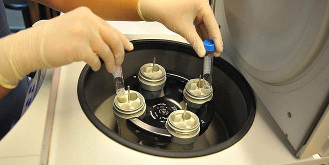Kapatılan tüp bebek merkezindeki embriyolar nakledildi