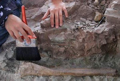Çankırı 8 milyon yıl önce Afrika gibiymiş