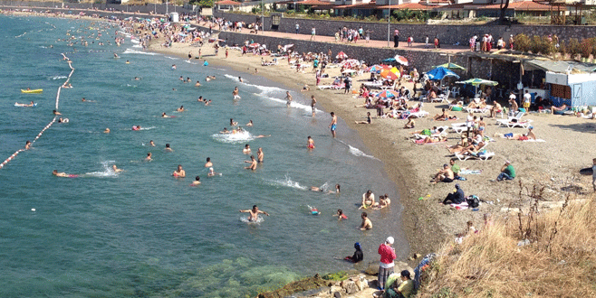 Bursa sahillerinden güzel haber