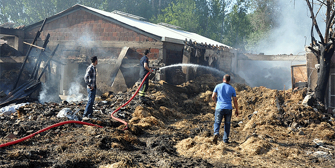 Bursa’da çıkan yangında 7 büyükbaş hayvan telef oldu