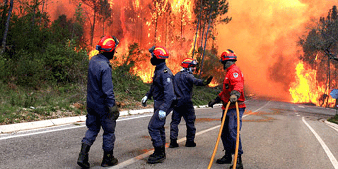 Ülkede 140 ayrı yangın devam ediyor