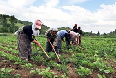 Türk çiftçisinde Rusya sevinci