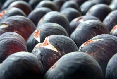 Siyah incire Avrupa’dan talep az