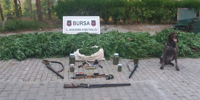Bursa’da uyuşturucu operasyonu: 5 gözaltı