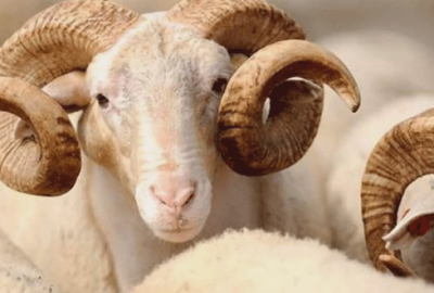 Bayram tatili 9 gün