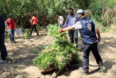 UNESCO listesindeki bahçeye operasyon
