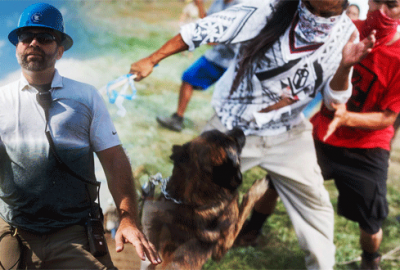 Kızılderililere köpeklerle saldırı