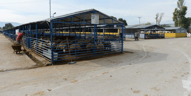 Bursa kurban bayramına hazır