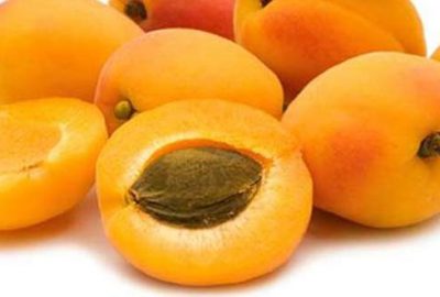 Kayısı çekirdeği 2 yaşındaki çocuğu hastanelik etti