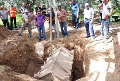 Zeytinlikten lahit fışkırıyor