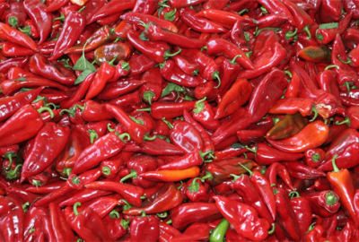 Tarım AŞ biber de ihraç edecek