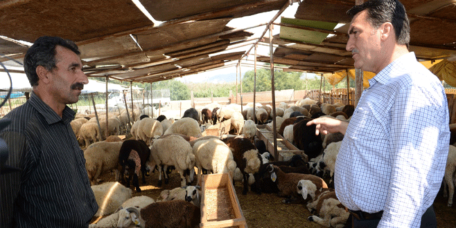 Osmangazi bayrama hazır