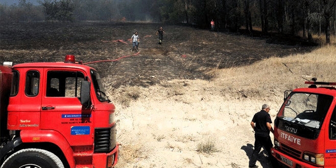 Çakmakla oynayan çocuklar az kalsın ormanı yakıyordu