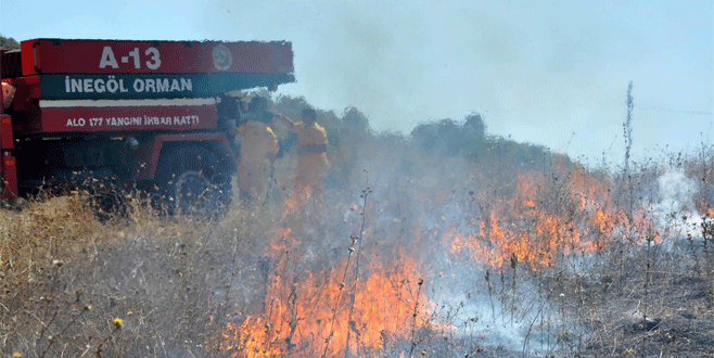 Bursa’da çalılık alanda korkutan yangın