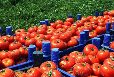 ‘Rusya ambargosu kalkmalı’