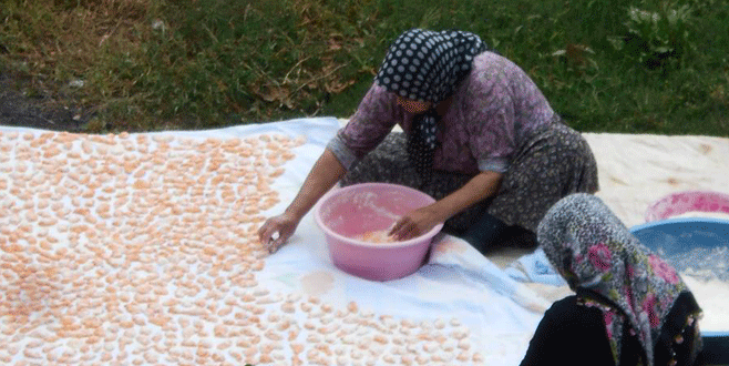 İznik ve yöresinde kışa hazırlık