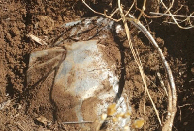 Jandarma faciayı önledi