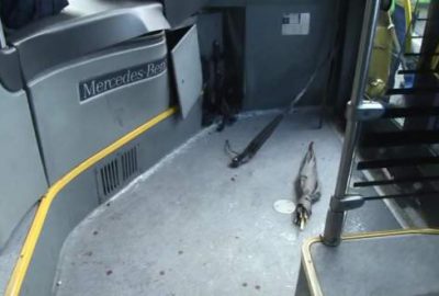 Metrobüsteki dikkat çeken şemsiye