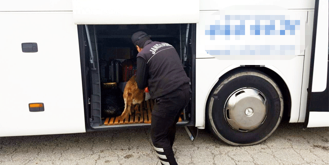 Bursa Jandarması suçlulara nefes aldırmıyor