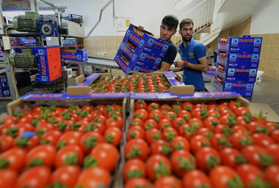 Rus firmalarından yaş sebze meyve talepleri gelmeye başladı