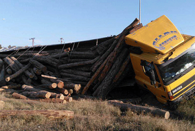 Faciadan dönüldü: Kabindeki arıyı kovalarken…