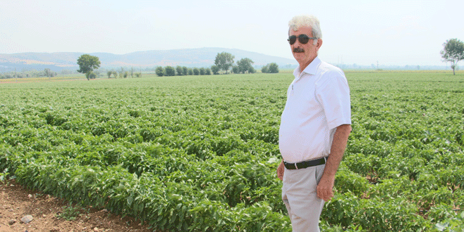 Biberde kalite arayışı