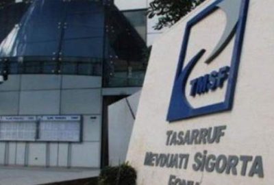 TMSF dev bir holding gibi