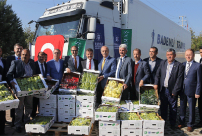 Yenişehir biberi Hollanda yolunda